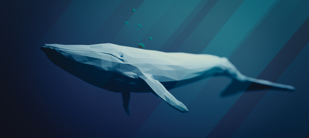 blue-whale-3158626_1280